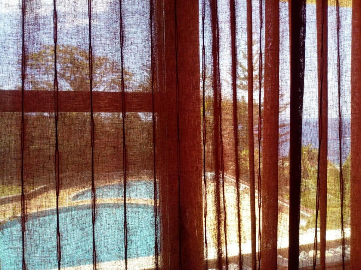 Un Balcon Sur La Mer ฟุงชาล ภายนอก รูปภาพ