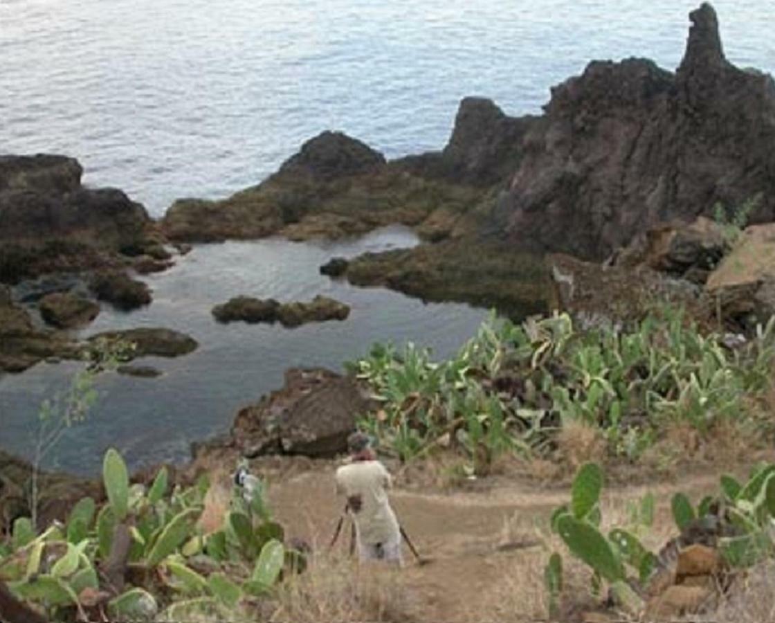 Un Balcon Sur La Mer ฟุงชาล ภายนอก รูปภาพ